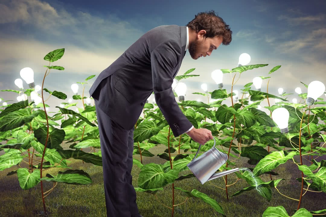 nachhaltigkeitskonzept